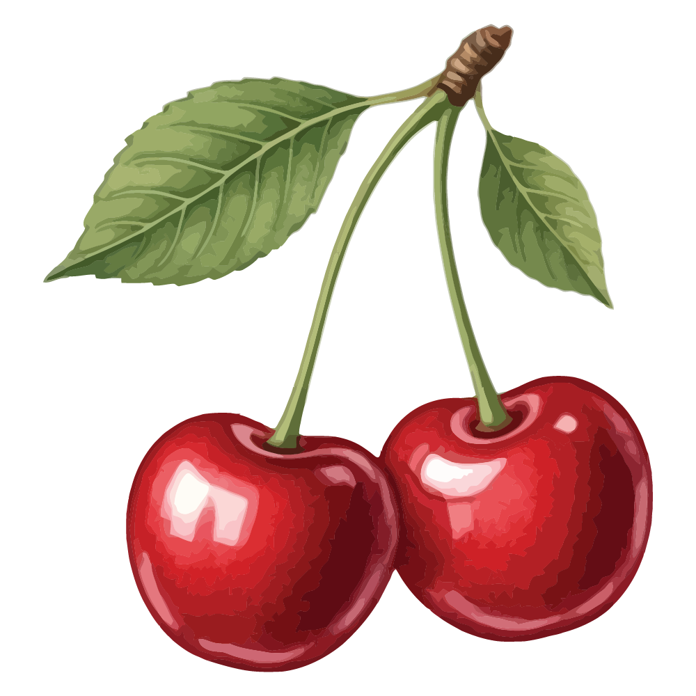 BC Cherries Website-02