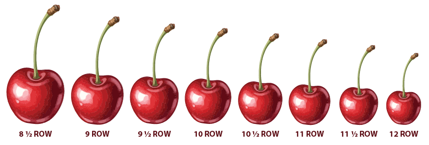 BC Cherries Website-07