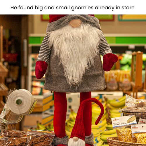 Gnome Adventures2