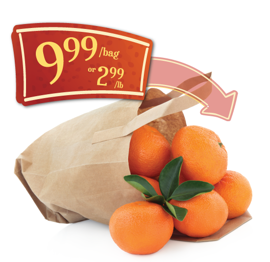 v2Satsuma-Bag-Price