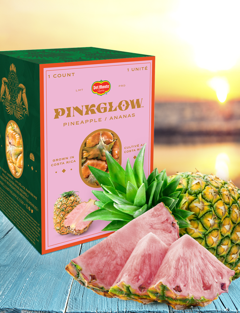 Pink-Pineapple-Flyer-Insert