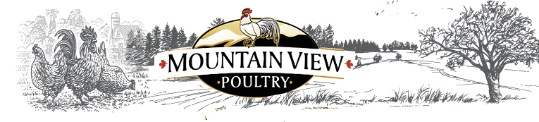 Chicken images