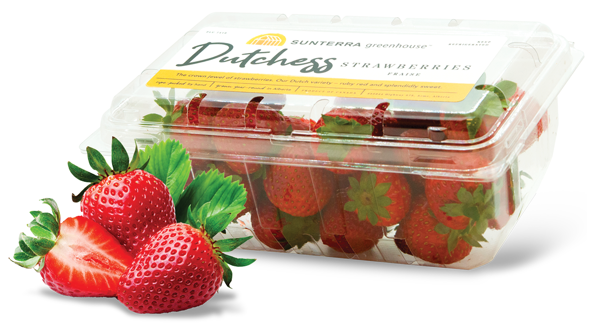 Alberta Strawberry Post4