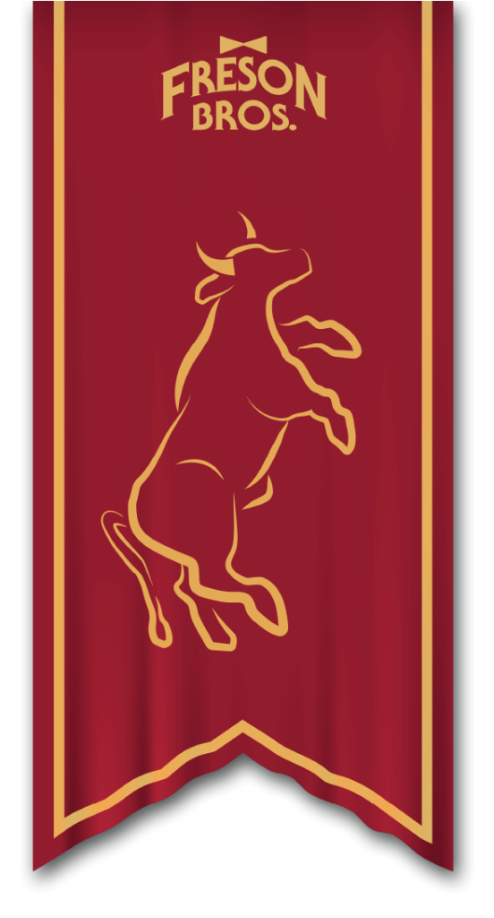 medieval times banner