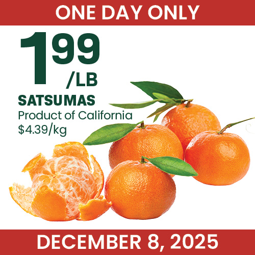 12 Days of Christmas blocks2