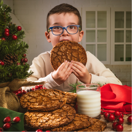Gingerbread Cookies-100
