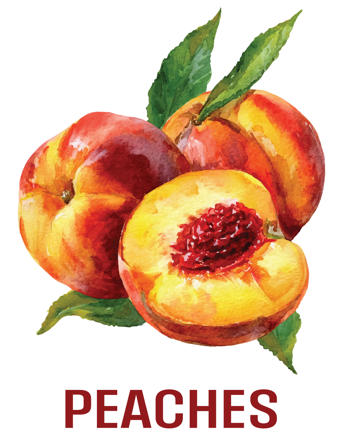 B.C. Fruits WEB-02