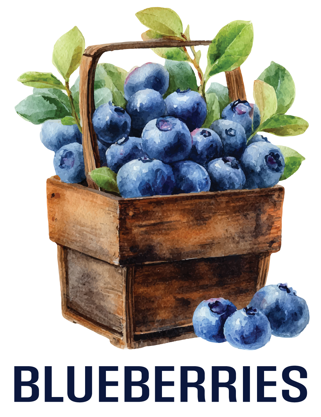 B.C. Fruits WEB-03