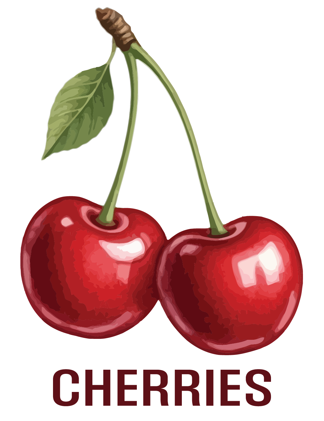 B.C. Fruits WEB-04