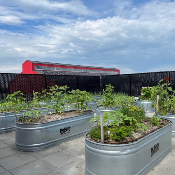 RH Rooftop Garden - July 2026