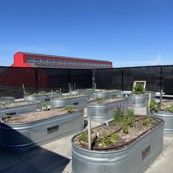 RH Rooftop Garden - June 2026