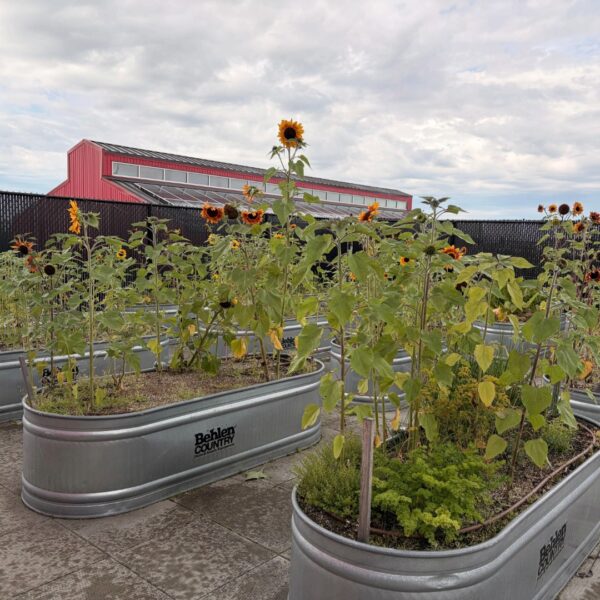 RH Rooftop Garden - Aug 2026